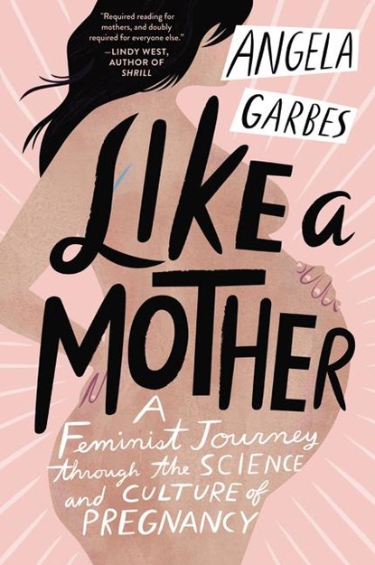 Like a Mother, Angela Garbes - Paperback - 9780062662958