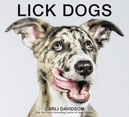 Lick Dogs, Carli Davidson - Ebook - 9780062667526
