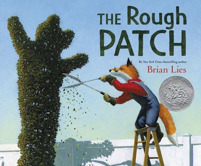 The Rough Patch, Brian Lies - Gebonden - 9780062671271