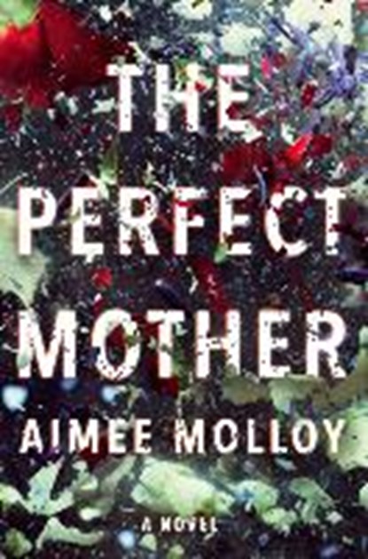 The Perfect Mother, MOLLOY,  Aimee - Paperback - 9780062845030