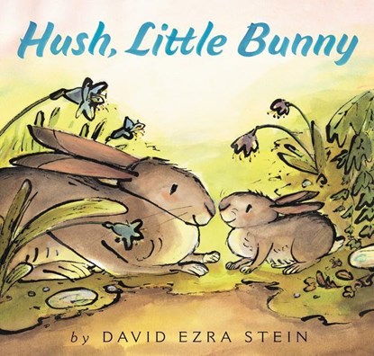 Hush, Little Bunny, David Ezra Stein - Gebonden - 9780062845221