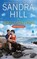 A Hero Comes Home, Sandra Hill - Paperback - 9780062854193
