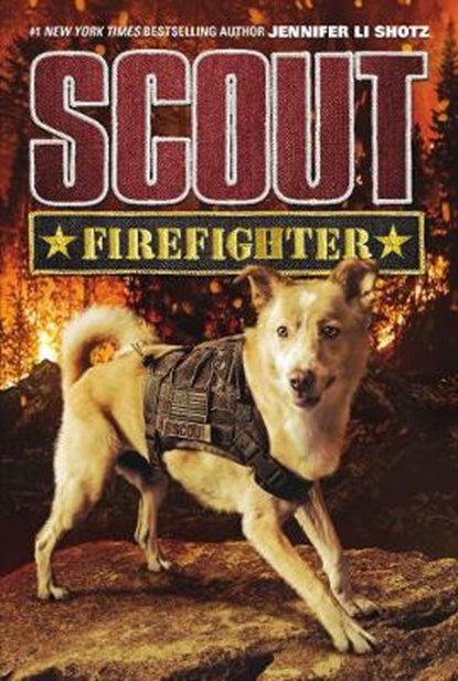 Firefighter, SHOTZ,  Jennifer Li - Gebonden - 9780062889898