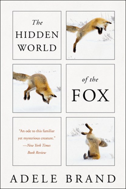The Hidden World of the Fox, Adele Brand - Paperback - 9780062966117