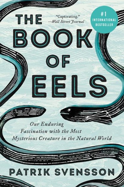 The Book of Eels, Patrik Svensson - Paperback - 9780062968821