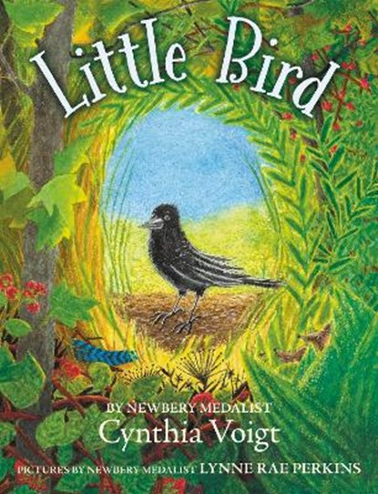 Little Bird, Cynthia Voigt - Paperback - 9780062996909