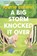 Big Storm Knocked It Over, Laurie Colwin - Paperback - 9780063046436