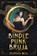 Bindle Punk Bruja, Desideria Mesa - Paperback - 9780063056084