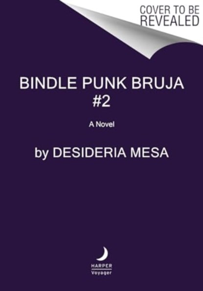 Bindle Punk Jefe, Desideria Mesa - Paperback - 9780063056121