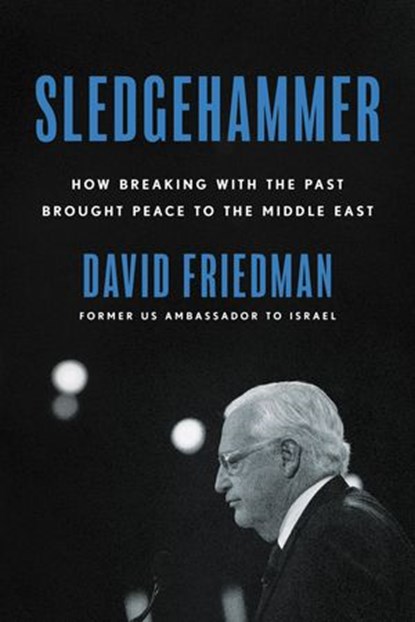 Sledgehammer, David Friedman - Ebook - 9780063098121