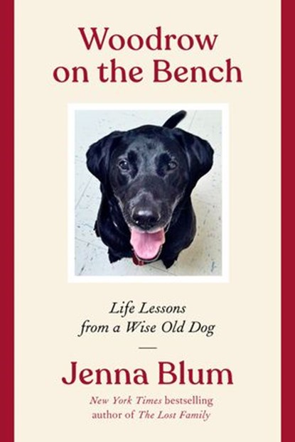 Woodrow on the Bench, Jenna Blum - Ebook - 9780063113206
