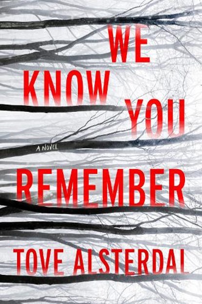 We Know You Remember, Tove Alsterdal - Paperback - 9780063115071