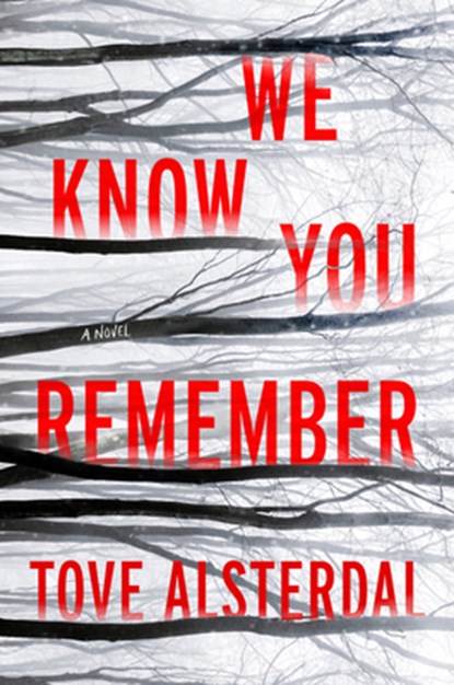 The We Know You Remember, Tove Alsterdal - Paperback - 9780063115071