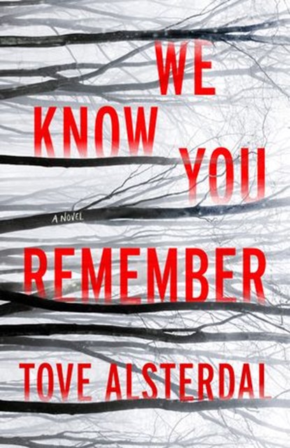 We Know You Remember, Tove Alsterdal - Ebook - 9780063115088