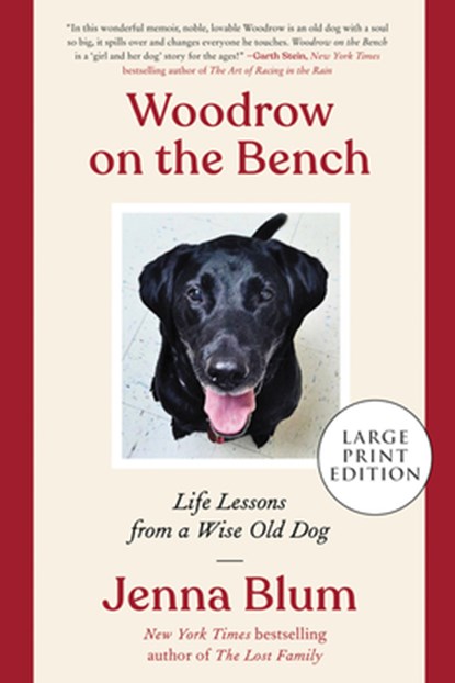 Woodrow on the Bench, Jenna Blum - Paperback - 9780063119031