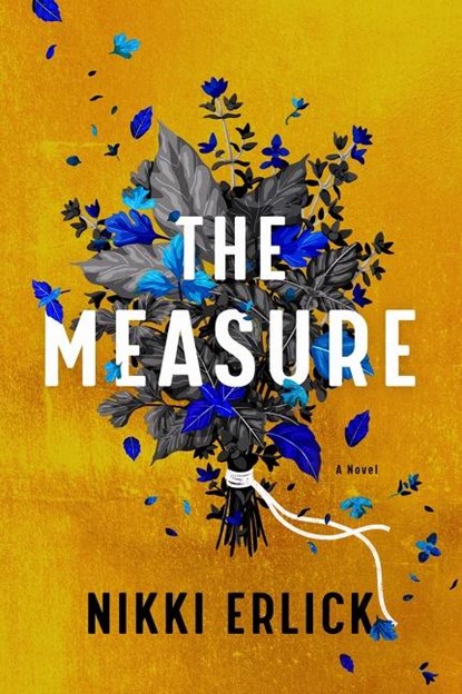 Measure, Nikki Erlick - Gebonden - 9780063204201