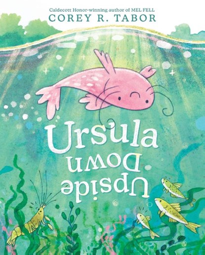 Ursula Upside Down, Corey R. Tabor - Gebonden - 9780063275560