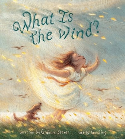 What Is the Wind?, Gideon Sterer - Gebonden - 9780063358010