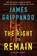The Right to Remain, James Grippando - Gebonden - 9780063358119