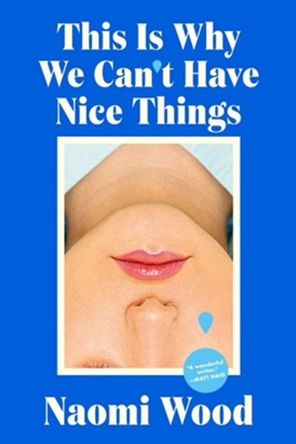 This Is Why We Can't Have Nice Things, Naomi Wood - Gebonden - 9780063399723