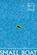Small Boat, Vincent Delecroix - Gebonden - 9780063491694