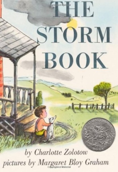 The Storm Book, Charlotte Zolotow - Paperback - 9780064431941