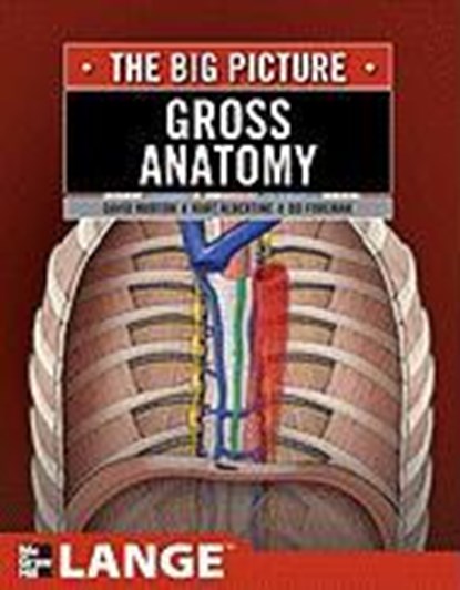 Gross Anatomy: The Big Picture, David A. Morton ; K. Bo Foreman ; Dr. Kurt H. Albertine - Paperback - 9780071476720