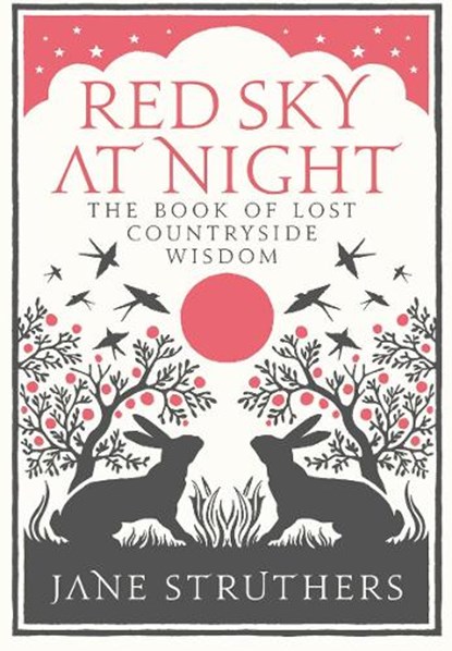 Red Sky at Night, Jane Struthers - Gebonden - 9780091932442
