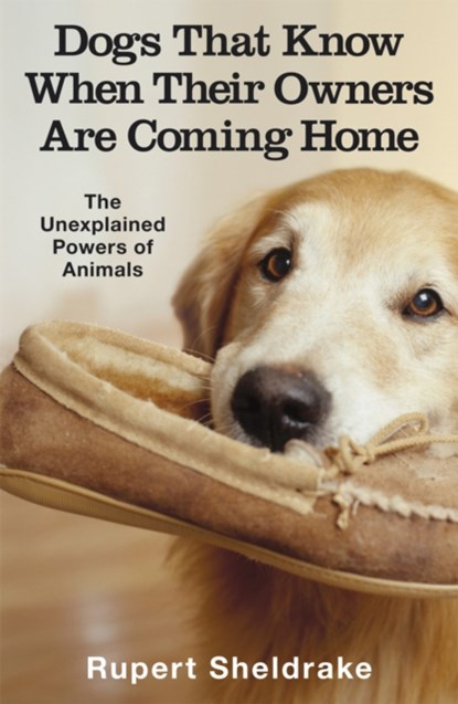 Dogs That Know When Their Owners Are Coming Home, Rupert Sheldrake - Paperback - 9780099255871