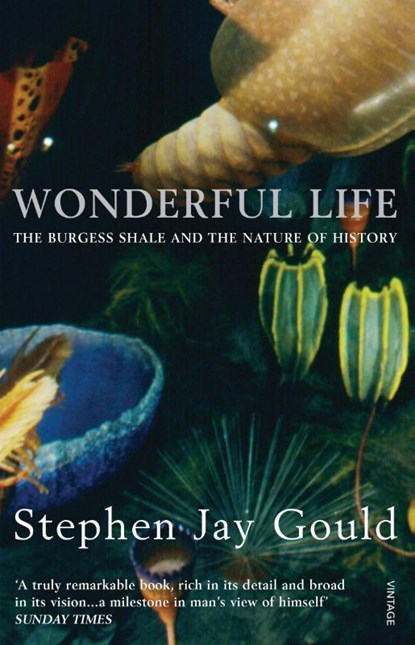 Wonderful Life, Stephen Jay Gould - Paperback - 9780099273455