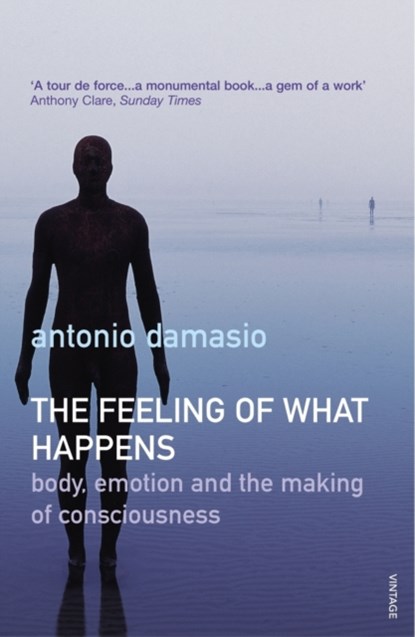 The Feeling Of What Happens, Antonio Damasio - Paperback - 9780099288763