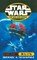 Star Wars: The New Jedi Order - Dark Tide Ruin, Michael A Stackpole - Paperback - 9780099409946