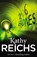 206 Bones, Kathy Reichs - Paperback - 9780099492382