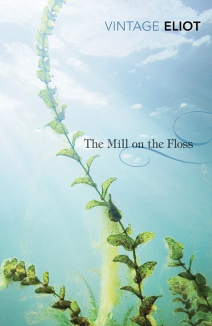 The Mill on the Floss, George Eliot - Paperback - 9780099519065