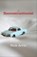 The Reconstructionist, Nick Arvin - Paperback - 9780099538073