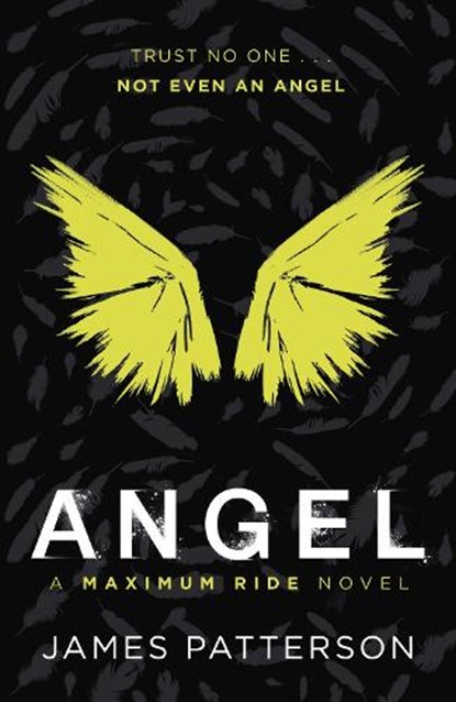 Angel: A Maximum Ride Novel, James Patterson - Paperback - 9780099543787