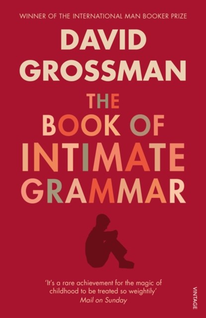 The Book Of Intimate Grammar, David Grossman - Paperback - 9780099552321