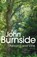 Ashland & Vine, John Burnside - Paperback - 9780099554936