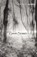 Ghost Stories, M. R. James - Paperback - 9780099560562