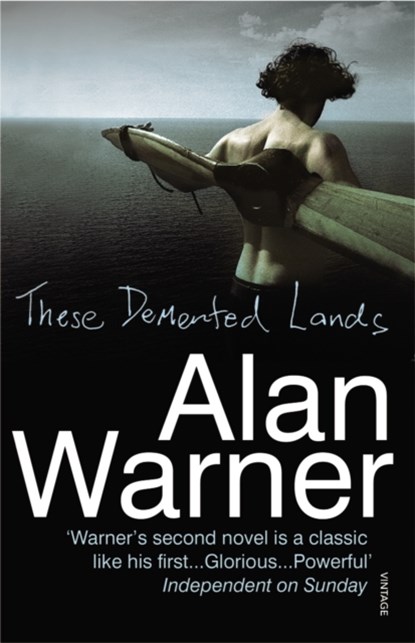 These Demented Lands, Alan Warner - Paperback - 9780099577911