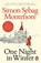 One Night in Winter, Simon Sebag Montefiore - Paperback - 9780099580331
