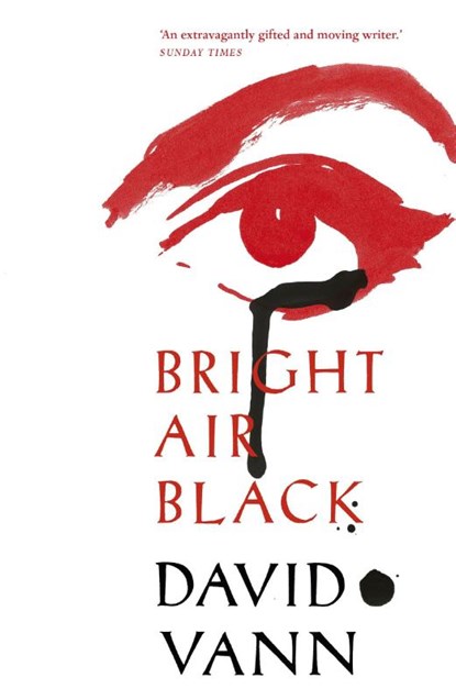 Bright Air Black, David Vann - Paperback - 9780099592266