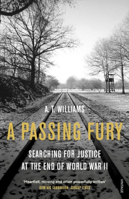A Passing Fury, A. T. Williams - Paperback - 9780099593263