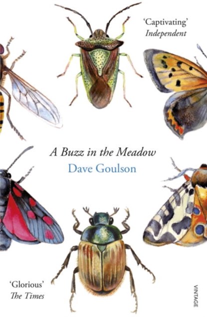 A Buzz in the Meadow, Dave Goulson - Paperback - 9780099597698
