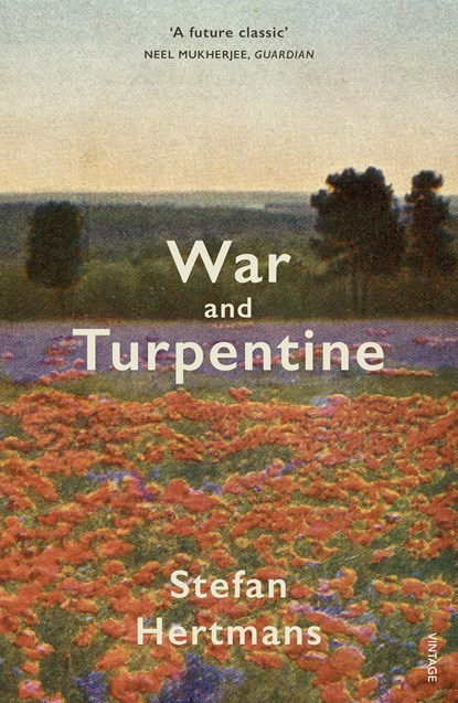War and Turpentine, Stefan Hertmans - Paperback - 9780099598046