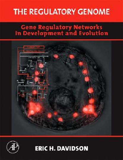 The Regulatory Genome, Eric H. (Norman Chandler Professor of Cell Biology Davidson - Gebonden - 9780120885633