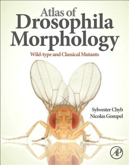 Chyb, S: Atlas of Drosophila Morphology, CHYB,  Sylwester ; Gompel, Nicolas - Gebonden - 9780123846884