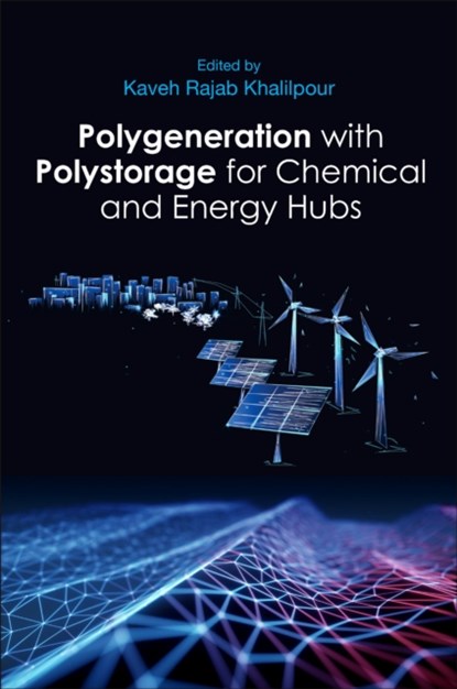 Polygeneration with Polystorage, KAVEH RAJAB (SENIOR RESEARCH,  Monash Energy Materials and Systems Institute (MEMSI), Monash University) Khalilpour - Paperback - 9780128133064