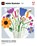 Adobe Illustrator Classroom in a Book (2023 release), Brian Wood - Paperback - 9780137967179