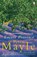 Encore Provence, Peter Mayle - Paperback - 9780140242669